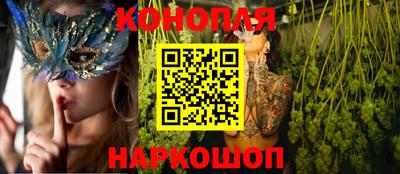 крисы Кинель