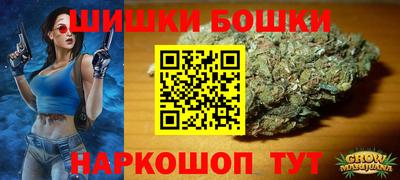 крисы Кинель
