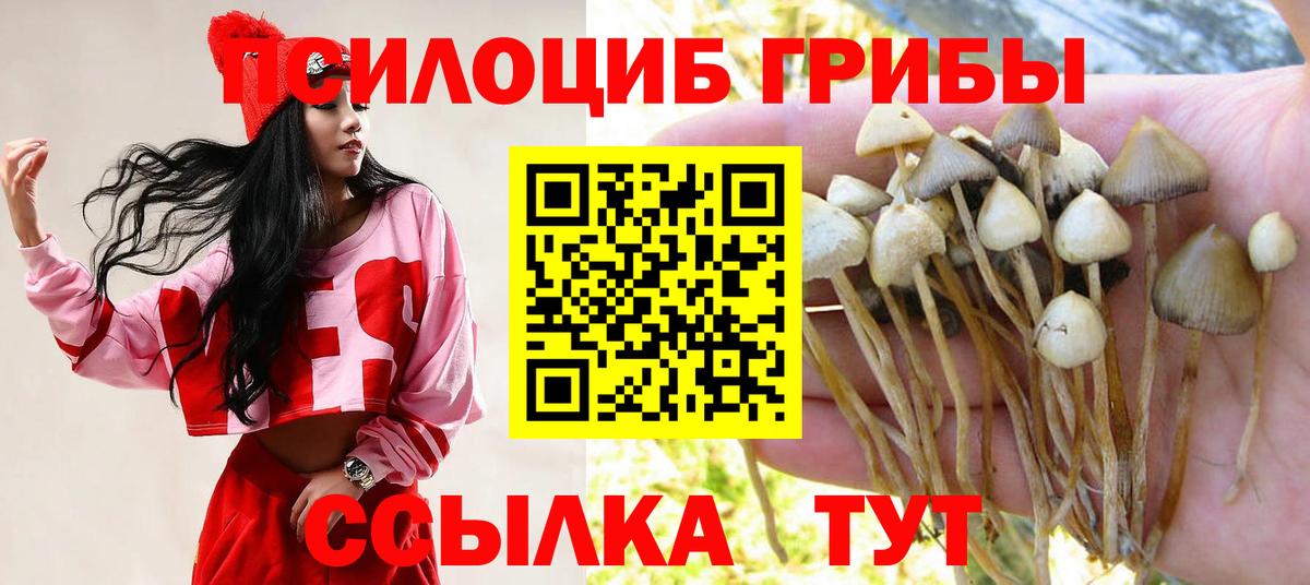 Псилоцибиновые грибы Cubensis Керчь