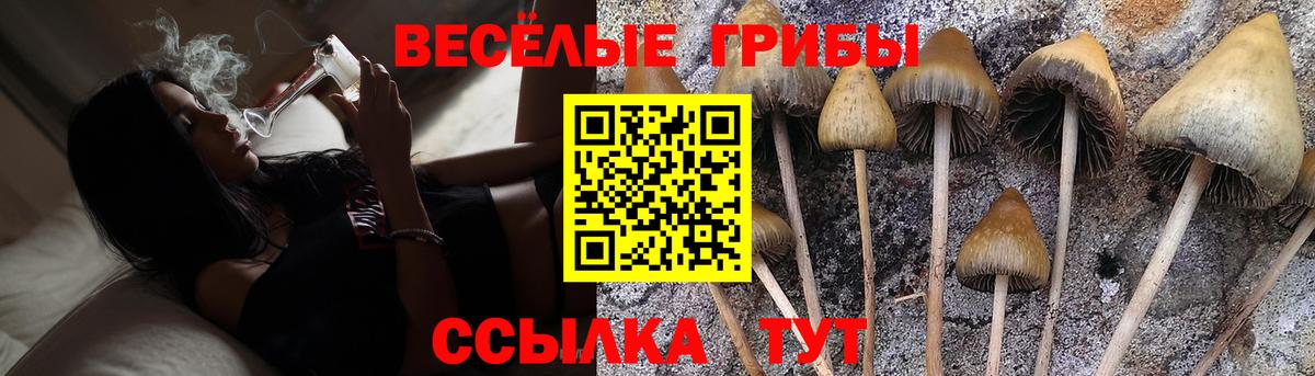 Керчь  Псилоцибиновые грибы Psilocybine cubensis  Вход с VPN  Галлюциногенные грибы мухоморы 